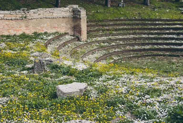 Kaišiadorių gyventojams – kur kreiptis dėl paveldo posėdžio