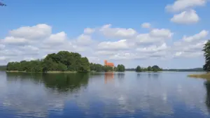 Vaizdas į ramų Lietuvos ežerą saulėtą vasaros dieną su medžiais pakrantėje.