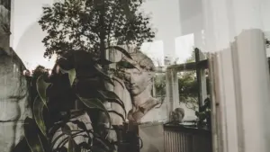 Elegantiški kambariniai augalai šalia lango sukuria jaukią atmosferą moderniuose namuose.