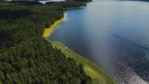Vaizdas iš oro į Lietuvos ežerą, apsuptą tankaus žaliuojančio miško vasaros metu.