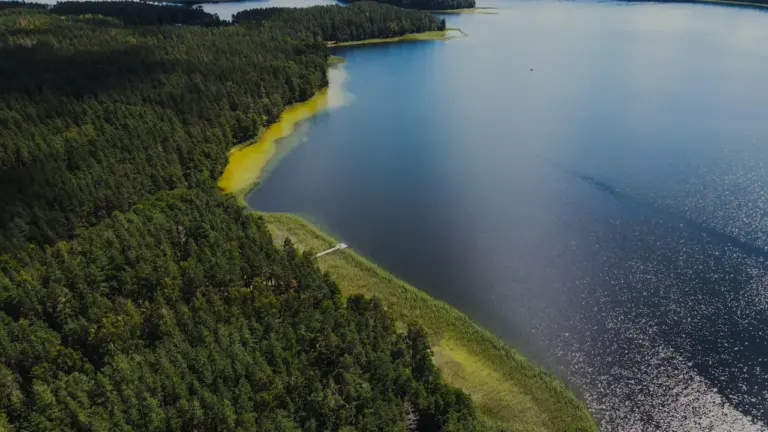 Vaizdas iš oro į Lietuvos ežerą, apsuptą tankaus žaliuojančio miško vasaros metu.