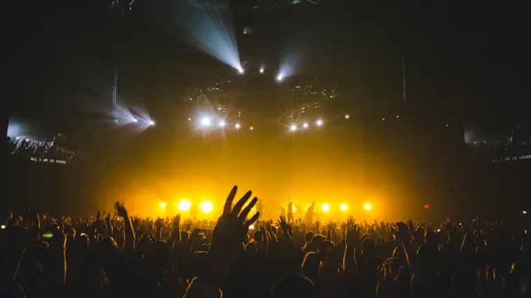 Didelė minia žmonių pakeltomis rankomis muzikos festivalio koncerte su ryškiu scenos apšvietimu.