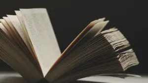 Atversta knyga tamsiame fone, simbolizuojanti literatūros vakaro ir skaitymo kultūros renginį Alytuje.