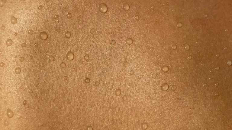Erkių rizika Lietuvoje pasiekia piką: kada kreiptis pagalbos