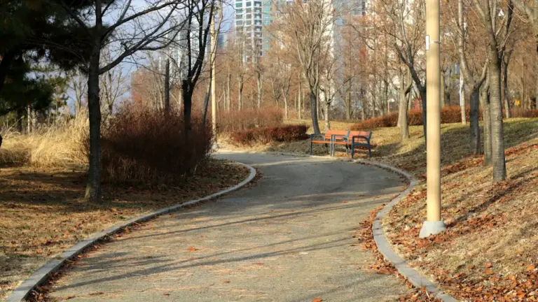 Kaune rugpjūčio 9 d.: ConTempo uždarymas Santakos parke