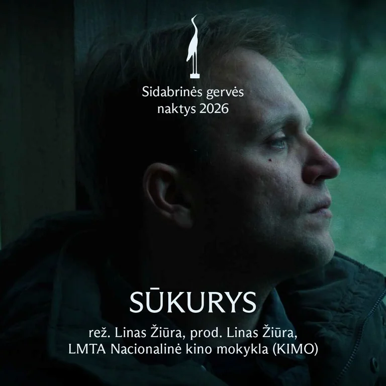 Mažeikiuose – nemokamas lietuviško kino vakaras po atviru dangumi: ką svarbu žinoti
