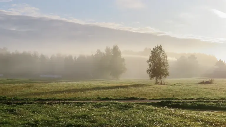 Rugpjūčio 30-osios horoskopas: sekmadienis be skubos