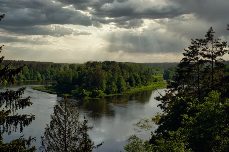 Rugpjūčio 8–9 d.: išvykos į Anykščius, Kauną ir Vilnių