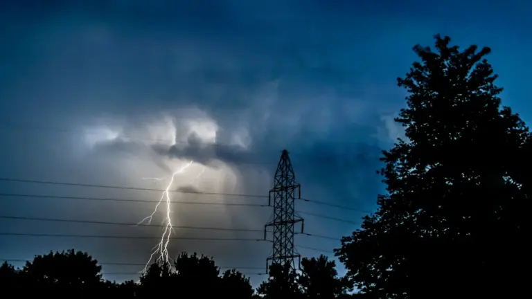 Zarasų krašte be elektros tūkstančiai: kiek truks darbai