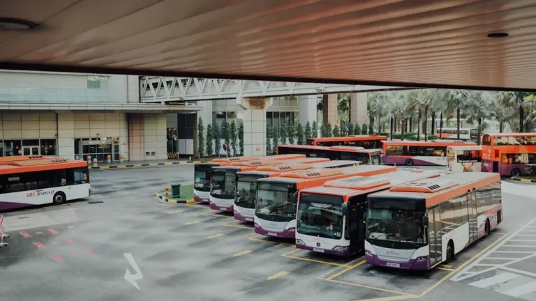 Žolinė 2026: kaip keisis parduotuvių ir viešojo transporto darbas