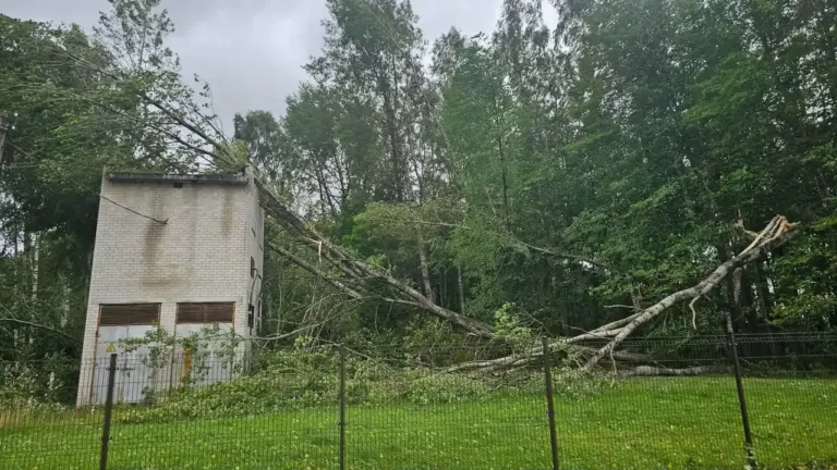 Kazlų Rūdoje grįžta įprasta tvarka, bet gedimų dar liko: ką svarbu žinoti