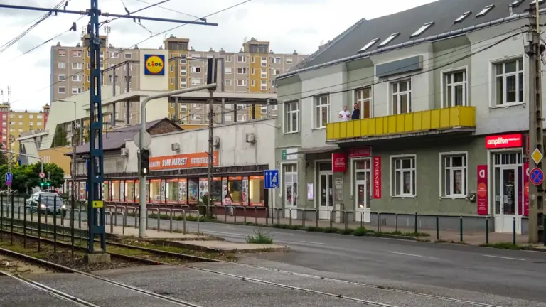 „Lidl“ sumažino įprastas 10 produktų kainas: visas sąrašas