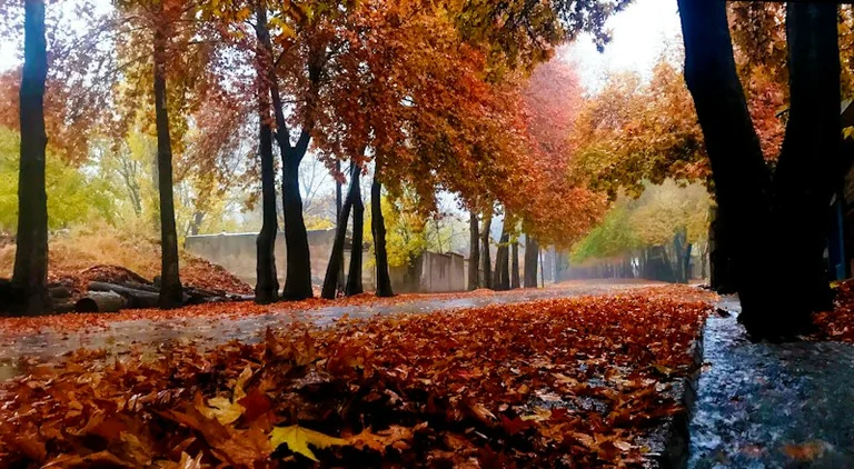 Orai Lietuvoje: rugsėjo 18 d. stiprės vėjas, savaitgalį – atšalimas