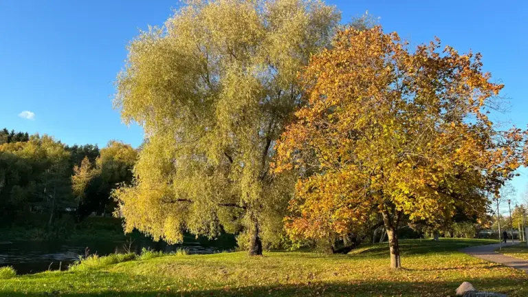 Rudens lygiadienis Lietuvoje: ką reiškė trumpėjančios dienos