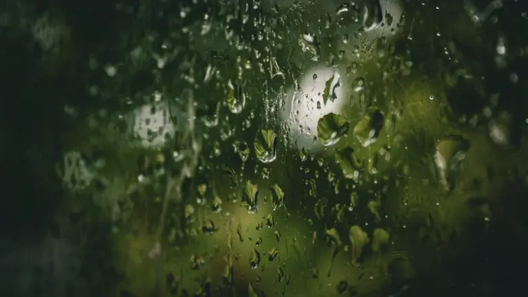 Sapnuoti lietų: emocijų ir pokyčių ženklai