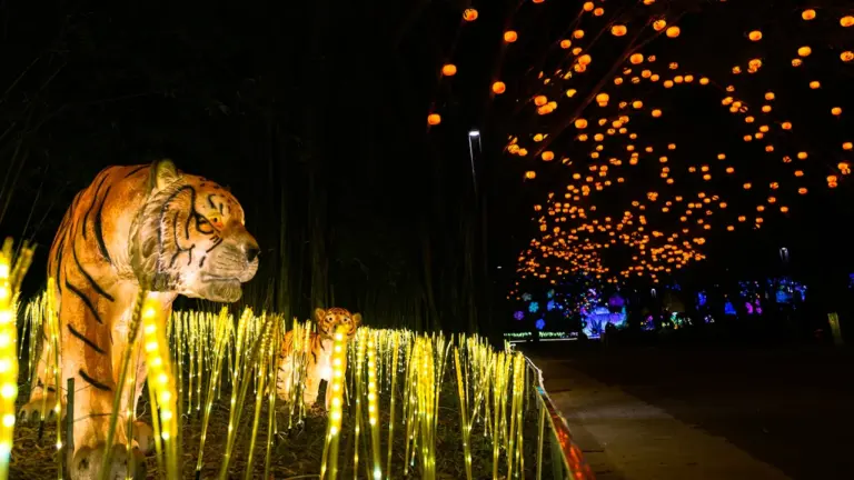 Pasaulinė gyvūnų diena Pakruojyje: susitikimas parke spalio 12-ąją