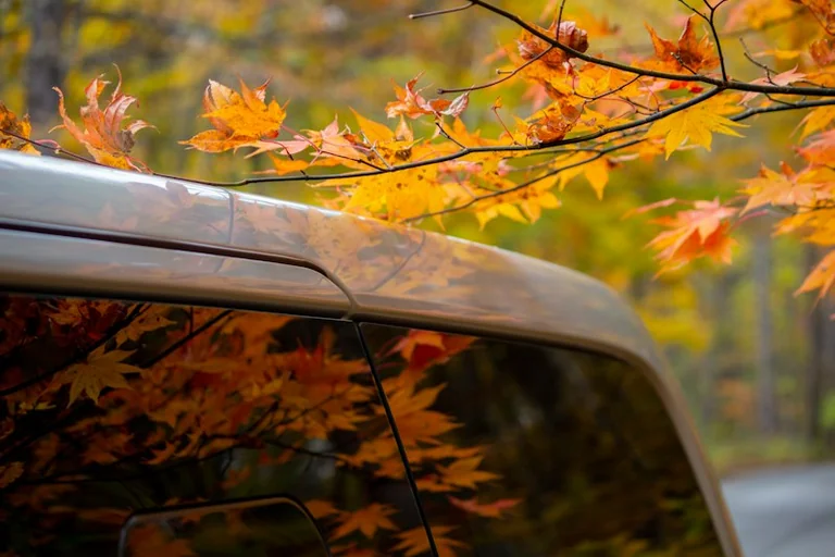 Po Vėlinių: ką patikrinti automobilyje prieš lapkričio keliones